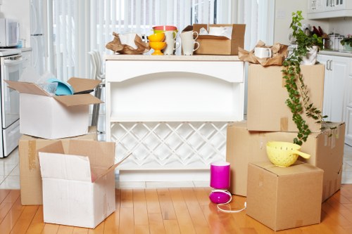Careful manual handling of boxes during a relocation