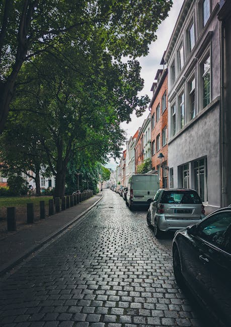 A narrow residential street with cobblestone pavement, lined on one side by multi-storey houses with large windows and brick or stucco facades. Several parked vehicles, including a small silver car and a larger van, are positioned close to the buildings, partially obstructing the kerbside. Tall, leafy trees with dense green foliage extend over the street, providing shade and a natural canopy. The scene appears to be during daylight, with diffused light filtering through the trees. This setting illustrates a typical urban environment suitable for house removals and furniture transport, with a focus on a confined street space where careful planning for vehicle access and loading may be required. The presence of parked vehicles and the narrow street width highlight the importance of efficient packing, loading, and precise navigation during home relocation services offered by Man with Van Shacklewell.