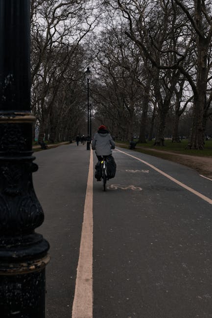 A person riding a bicycle along a designated cycling lane on a paved park pathway, with a single cyclist wearing a grey jacket and a red hat. The lane is marked with bicycle symbols and bordered by white lines, separating it from pedestrian areas. On either side of the path, tall leafless trees and park benches are visible under an overcast sky. The scene is peaceful, with minimal foot or bike traffic visible in the background. The pathway is part of a park setting near Clissold Park, and the image captures a scene relevant to home relocation or moving logistics, emphasizing the use of local outdoor spaces during the transportation process. The overall composition reflects a quiet, outdoor environment suitable for portable packing or temporary storage during a house move, as handled by companies like Man with Van Shacklewell.