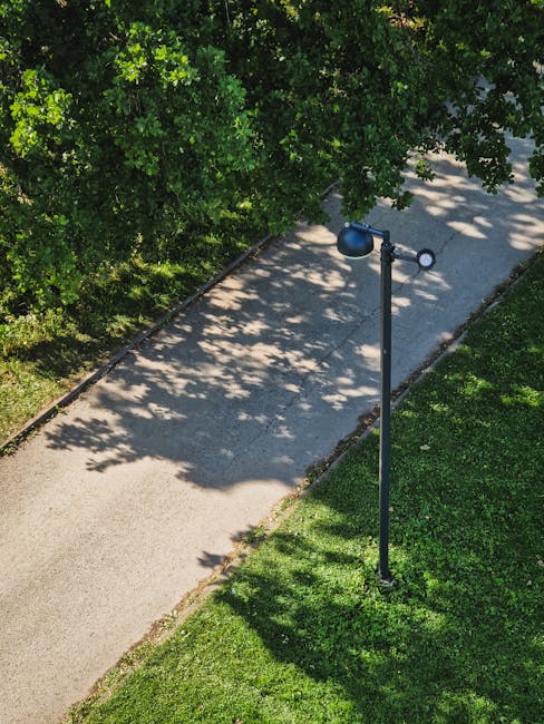 A person riding a bicycle along a designated cycling lane on a paved park pathway, with a single cyclist wearing a grey jacket and a red hat. The lane is marked with bicycle symbols and bordered by white lines, separating it from pedestrian areas. On either side of the path, tall leafless trees and park benches are visible under an overcast sky. The scene is peaceful, with minimal foot or bike traffic visible in the background. The pathway is part of a park setting near Clissold Park, and the image captures a scene relevant to home relocation or moving logistics, emphasizing the use of local outdoor spaces during the transportation process. The overall composition reflects a quiet, outdoor environment suitable for portable packing or temporary storage during a house move, as handled by companies like Man with Van Shacklewell.